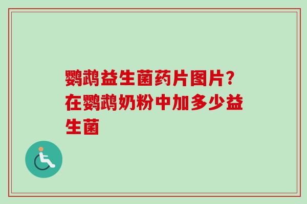 鹦鹉益生菌药片图片？在鹦鹉奶粉中加多少益生菌