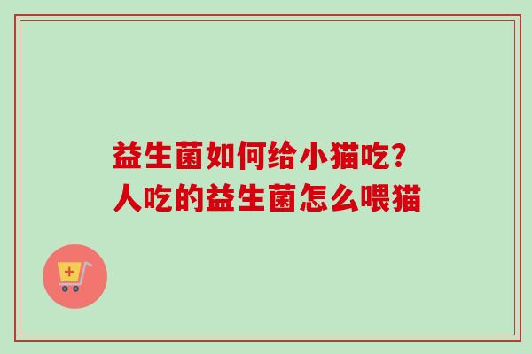 益生菌如何给小猫吃？人吃的益生菌怎么喂猫