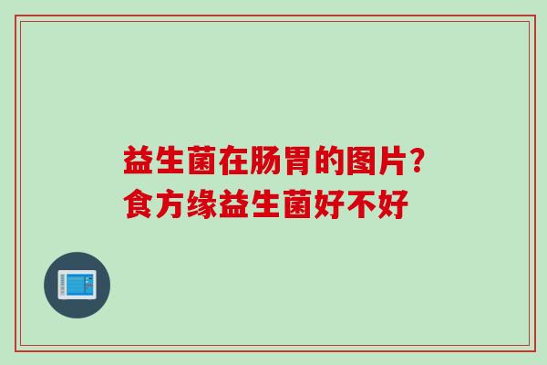 益生菌在肠胃的图片?食方缘益生菌好不好 益生菌在肠胃的图片?食方缘益生菌好不好