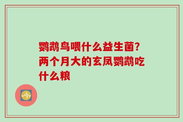 鹦鹉鸟喂什么益生菌？两个月大的玄凤鹦鹉吃什么粮