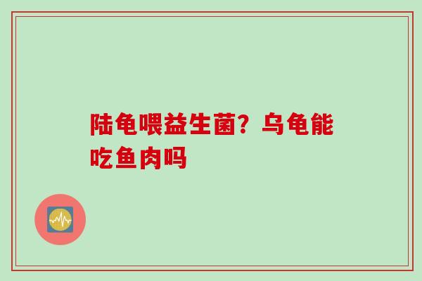 陆龟喂益生菌?乌龟能吃鱼肉吗 陆龟喂益生菌?乌龟能吃鱼肉吗