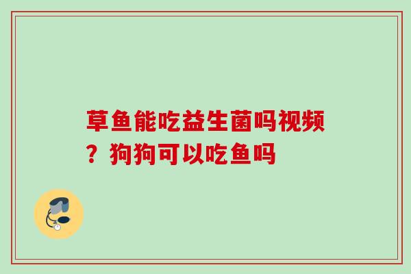 草鱼能吃益生菌吗视频？狗狗可以吃鱼吗