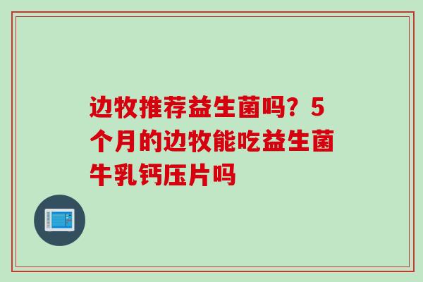 边牧推荐益生菌吗？5个月的边牧能吃益生菌牛乳钙压片吗