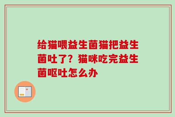给猫喂益生菌猫把益生菌吐了？猫咪吃完益生菌怎么办