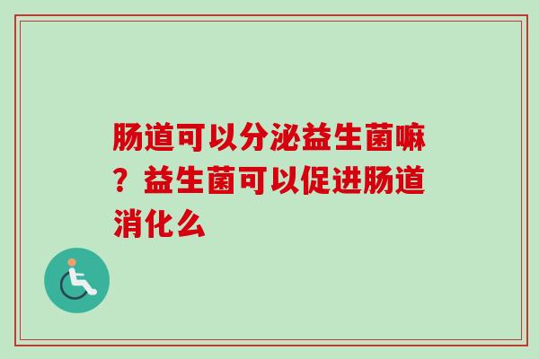肠道可以分泌益生菌嘛？益生菌可以促进肠道消化么
