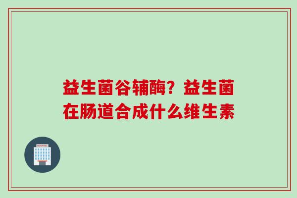 益生菌谷辅酶？益生菌在肠道合成什么维生素