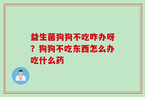 益生菌狗狗不吃咋办呀？狗狗不吃东西怎么办吃什么药
