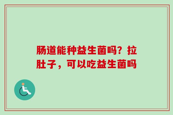 肠道能种益生菌吗？拉肚子，可以吃益生菌吗
