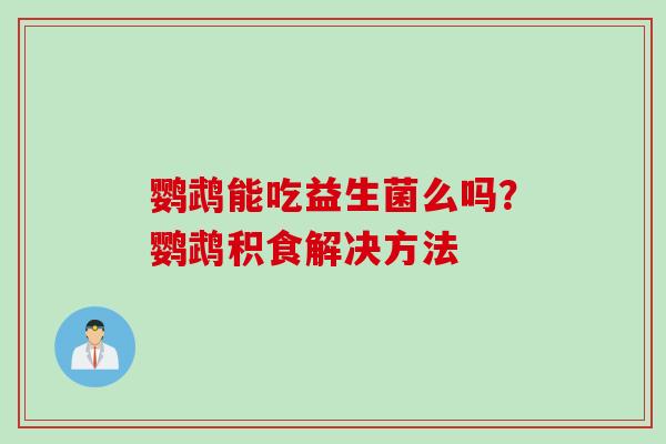 鹦鹉能吃益生菌么吗？鹦鹉积食解决方法