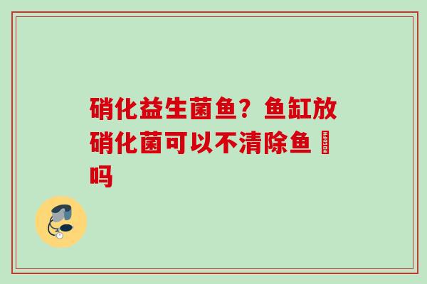 硝化益生菌鱼？鱼缸放硝化菌可以不清除鱼糞吗