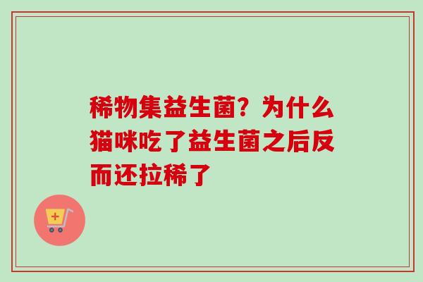 稀物集益生菌？为什么猫咪吃了益生菌之后反而还拉稀了