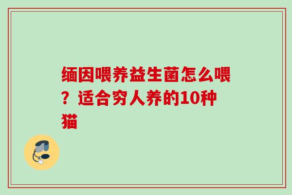 缅因喂养益生菌怎么喂？适合穷人养的10种猫