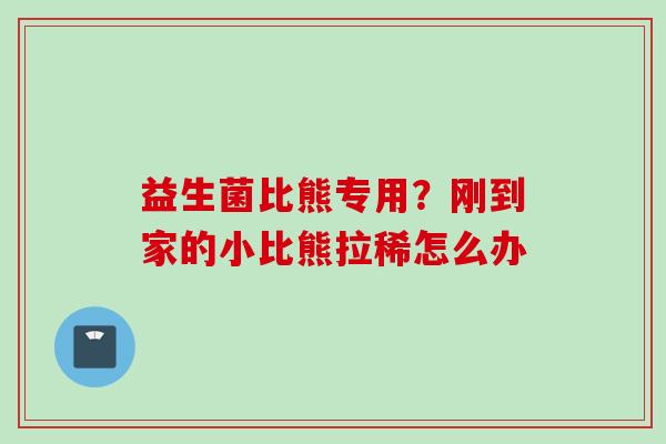 益生菌比熊专用？刚到家的小比熊拉稀怎么办