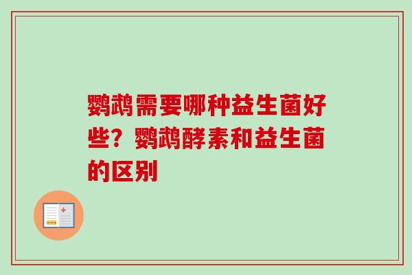 鹦鹉需要哪种益生菌好些？鹦鹉酵素和益生菌的区别