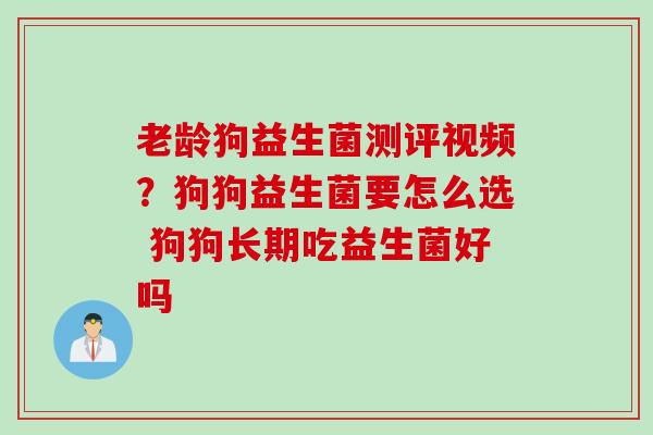 老龄狗益生菌测评视频？狗狗益生菌要怎么选 狗狗长期吃益生菌好吗