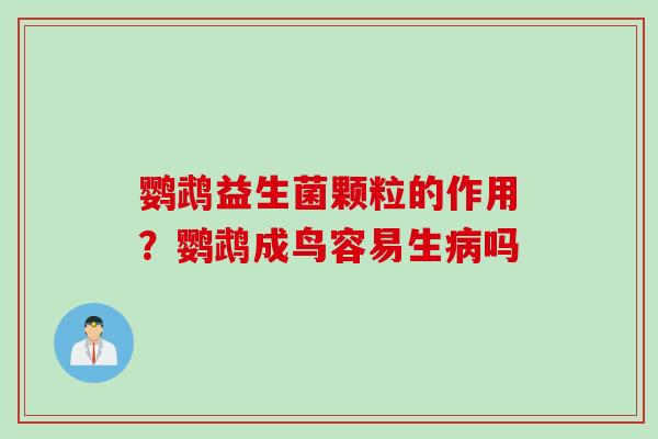 鹦鹉益生菌颗粒的作用？鹦鹉成鸟容易生吗