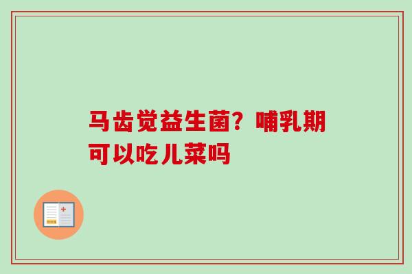 马齿觉益生菌？哺乳期可以吃儿菜吗