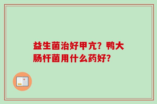 益生菌好甲亢？鸭大肠杆菌用什么药好？
