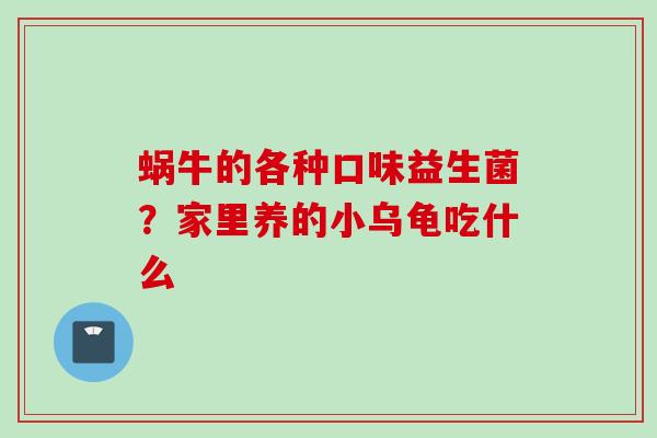 蜗牛的各种口味益生菌？家里养的小乌龟吃什么