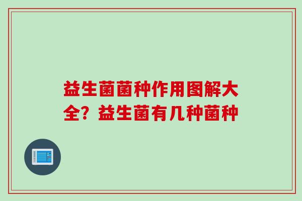 益生菌菌种作用图解大全?益生菌有几种菌种 益生菌菌种作用图解大全?益生菌有几种菌种
