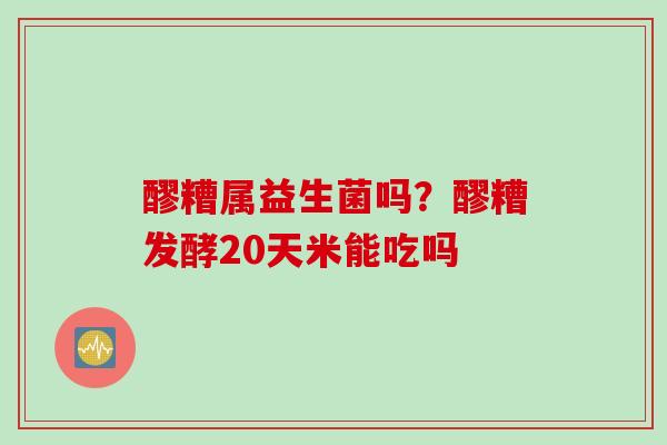 醪糟属益生菌吗?醪糟发酵20天米能吃吗 醪糟属益生菌吗?醪糟发酵20天米能吃吗