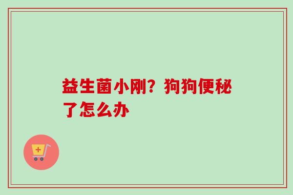 益生菌小刚？狗狗了怎么办