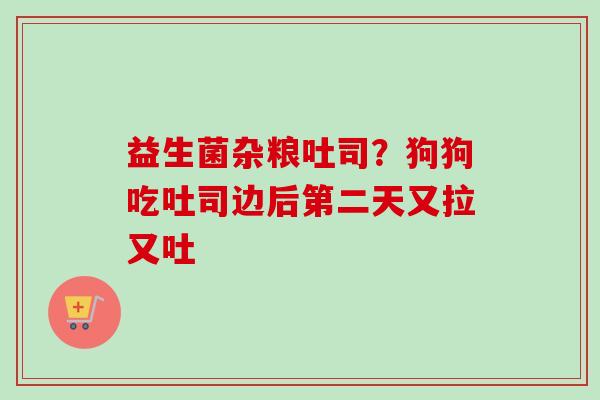 益生菌杂粮吐司?狗狗吃吐司边后第二天又拉又吐 益生菌杂粮吐司?狗狗吃吐司边后第二天又拉又吐