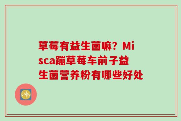 草莓有益生菌嘛?Misca蹦草莓车前子益生菌营养粉有哪些好处 草莓有益生菌嘛?Misca蹦草莓车前子益生菌营养粉有哪些好处