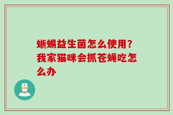 蜥蜴益生菌怎么使用？我家猫咪会抓苍蝇吃怎么办
