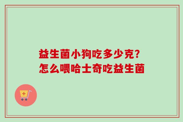 益生菌小狗吃多少克？怎么喂哈士奇吃益生菌
