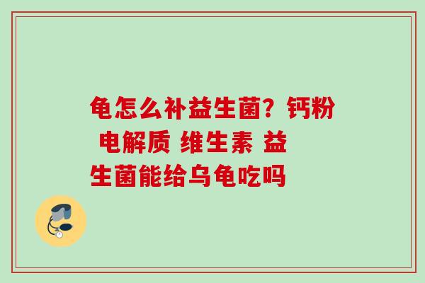 龟怎么补益生菌？钙粉 电解质 维生素 益生菌能给乌龟吃吗