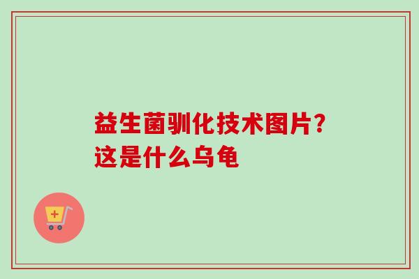 益生菌驯化技术图片？这是什么乌龟