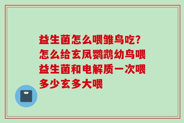 益生菌怎么喂雏鸟吃?怎么给玄凤鹦鹉幼鸟喂益生菌和电解质一次喂多少玄多大喂 益生菌怎么喂雏鸟吃?怎么给玄凤鹦鹉幼鸟喂益生菌和电解质一次喂多少玄多大喂