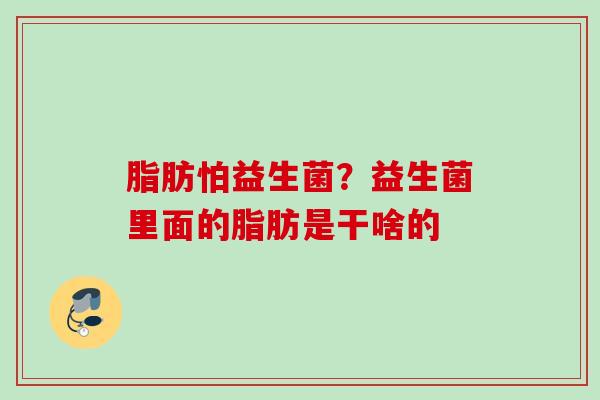 脂肪怕益生菌?益生菌里面的脂肪是干啥的 脂肪怕益生菌?益生菌里面的脂肪是干啥的