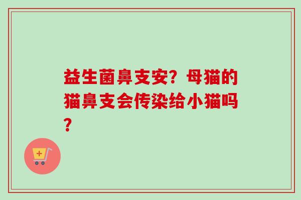 益生菌鼻支安？母猫的猫鼻支会传染给小猫吗？