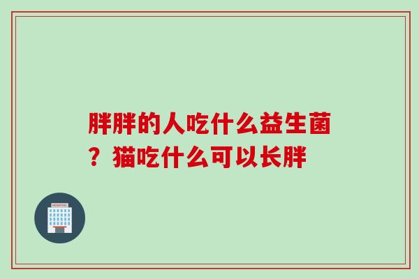 胖胖的人吃什么益生菌？猫吃什么可以长胖
