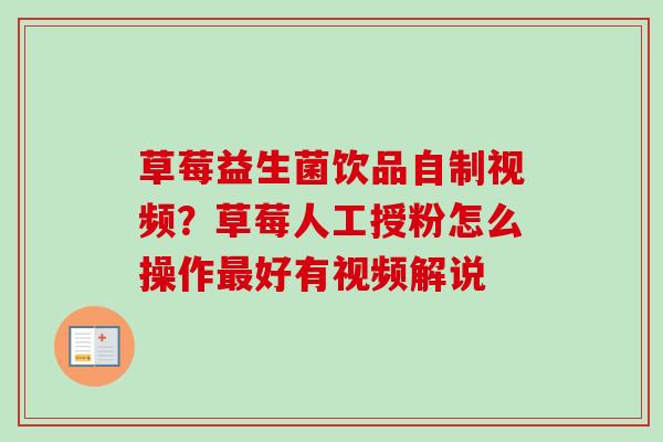 草莓益生菌饮品自制视频？草莓人工授粉怎么操作好有视频解说
