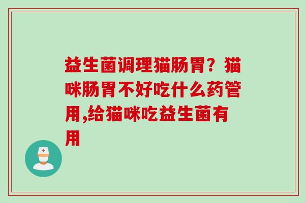 益生菌调理猫肠胃？猫咪肠胃不好吃什么药管用,给猫咪吃益生菌有用