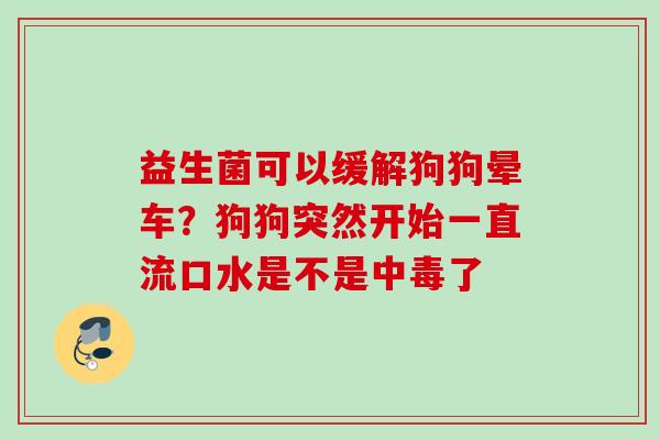 益生菌可以缓解狗狗晕车？狗狗突然开始一直流口水是不是中毒了
