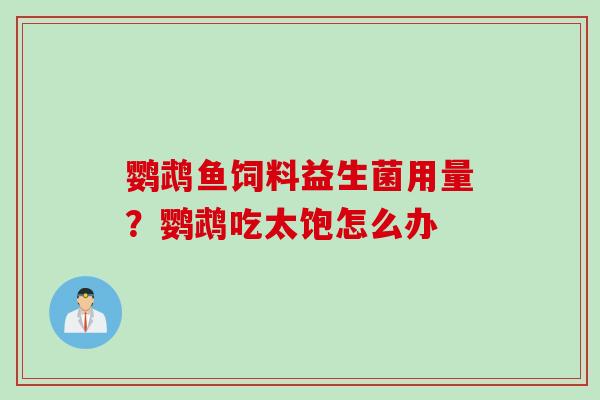 鹦鹉鱼饲料益生菌用量？鹦鹉吃太饱怎么办