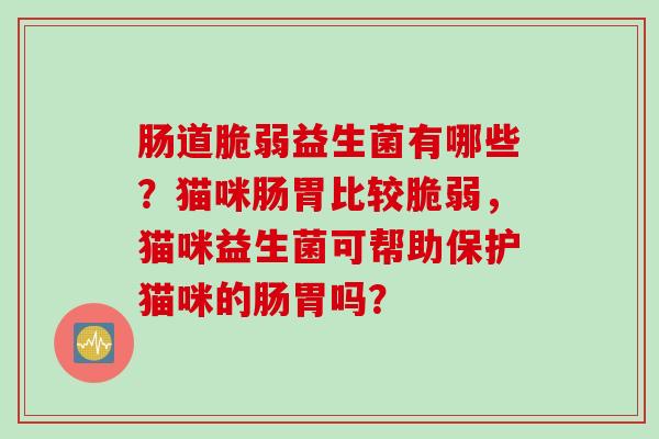 肠道脆弱益生菌有哪些？猫咪肠胃比较脆弱，猫咪益生菌可帮助保护猫咪的肠胃吗？