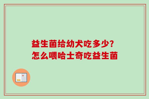 益生菌给幼犬吃多少？怎么喂哈士奇吃益生菌
