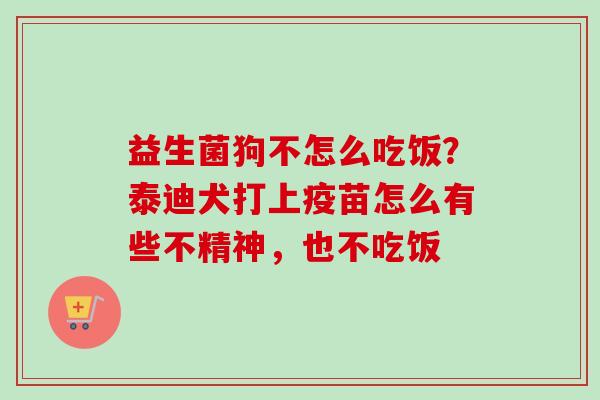 益生菌狗不怎么吃饭？泰迪犬打上疫苗怎么有些不精神，也不吃饭