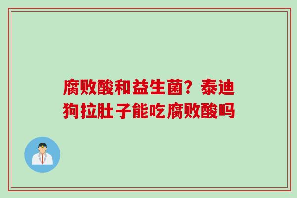 腐败酸和益生菌?泰迪狗拉肚子能吃腐败酸吗 腐败酸和益生菌?泰迪狗拉肚子能吃腐败酸吗