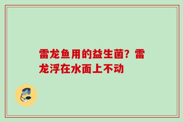雷龙鱼用的益生菌？雷龙浮在水面上不动