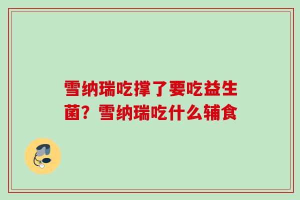 雪纳瑞吃撑了要吃益生菌？雪纳瑞吃什么辅食