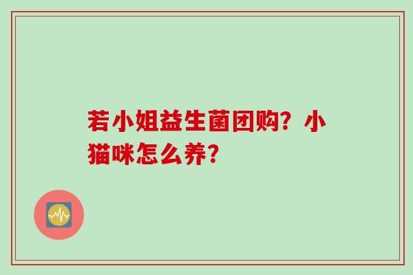 若小姐益生菌团购?小猫咪怎么养? 若小姐益生菌团购?小猫咪怎么养?