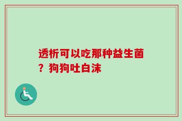 透析可以吃那种益生菌？狗狗吐白沫