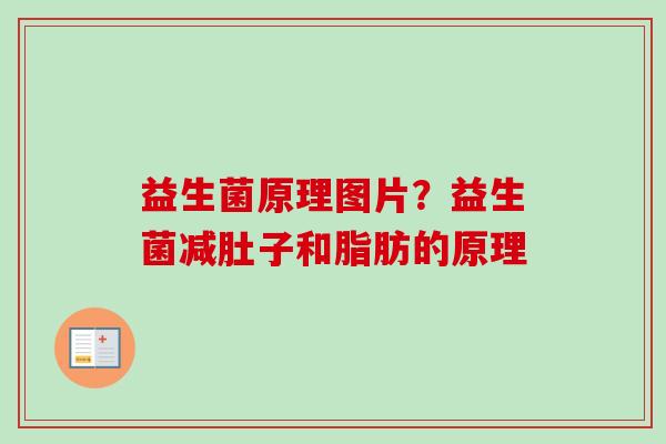益生菌原理图片？益生菌减肚子和脂肪的原理