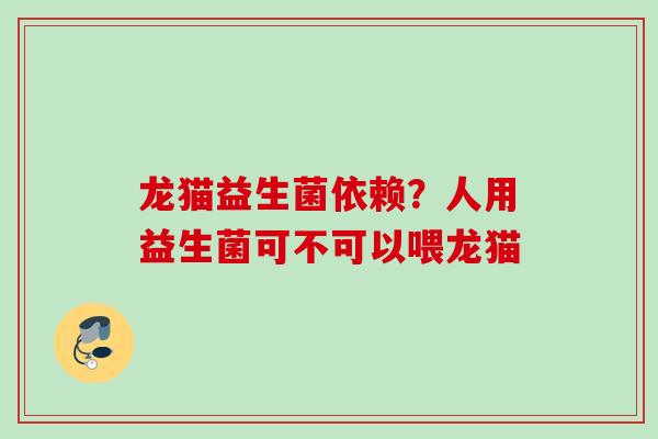 龙猫益生菌依赖？人用益生菌可不可以喂龙猫